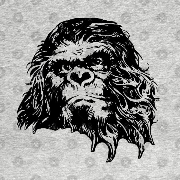 Planet of the Apes by japonesvoador